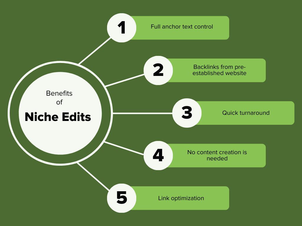 Infographic on Benefits of Niche edits